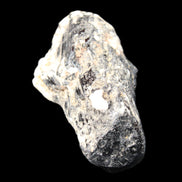 Black Tourmaline crystal with Feldspar & Mica 55mm 250.7ct  50.2g in sunlight - Rocks and Things Store