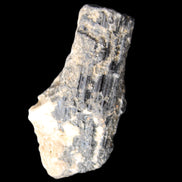 Black Tourmaline crystal with Feldspar & Mica 55mm 250.7ct  50.2g in sunlight - Rocks and Things Store