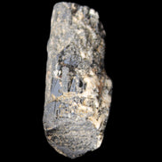 Black Tourmaline crystal with Feldspar & Mica 55mm 250.7ct  50.2g in sunlight - Rocks and Things Store