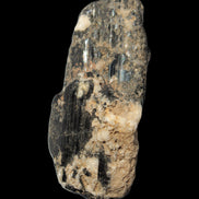 Black Tourmaline crystal with Feldspar & Mica 55mm 250.7ct  50.2g in sunlight - Rocks and Things Store