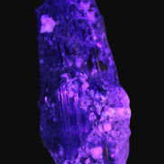 Black Tourmaline crystal with Feldspar & Mica 55mm 250.7ct  50.2g in UV light - Rocks and Things Store