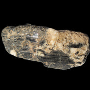 Black Tourmaline crystal with Feldspar & Mica 55mm 250.7ct  50.2g Rocks and Things