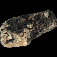 Black Tourmaline crystal with Feldspar & Mica 55mm 250.7ct  50.2g Rocks and Things