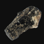 Black Tourmaline crystal with Feldspar & Mica 55mm 250.7ct  50.2g Rocks and Things