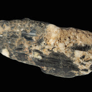 Black Tourmaline crystal with Feldspar & Mica 55mm 250.7ct  50.2g Rocks and Things