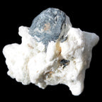 Black Tourmaline crystals on Feldspar & Mica matrix 55mm 222.8ct  44.6g - Rocks and Things Store