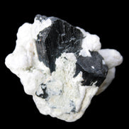 Black Tourmaline crystals on Feldspar & Mica matrix 55mm 222.8ct  44.6g - Rocks and Things Store