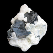 Black Tourmaline crystals on Feldspar & Mica matrix 55mm 222.8ct  44.6g - Rocks and Things Store