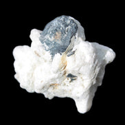 Black Tourmaline crystals on Feldspar & Mica matrix 55mm 222.8ct  44.6g Rocks and Things