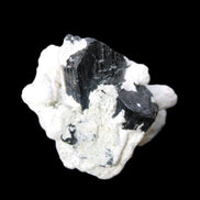 Black Tourmaline crystals on Feldspar & Mica matrix 55mm 222.8ct  44.6g Rocks and Things