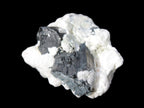 Black Tourmaline crystals on Feldspar & Mica matrix 55mm 222.8ct  44.6g Rocks and Things
