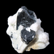 Black Tourmaline crystals on Feldspar & Mica matrix 55mm 222.8ct  44.6g Rocks and Things