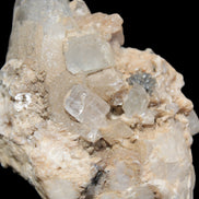 Elestial double-terminated Quartz with Aquamarine, Elbaite & Kunzite crystals on matrix 70mm 845ct 169g - Rocks and Things Store