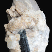 Elestial double-terminated Quartz with Aquamarine, Elbaite & Kunzite crystals on matrix 70mm 845ct 169g - Rocks and Things Store