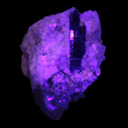 Elestial double-terminated Quartz with Aquamarine, Elbaite & Kunzite crystals on matrix 70mm 845ct 169g in UV light - Rocks and Things Store