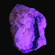 Elestial double-terminated Quartz with Aquamarine, Elbaite & Kunzite crystals on matrix 70mm 845ct 169g in UV light - Rocks and Things Store