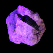 Elestial double-terminated Quartz with Aquamarine, Elbaite & Kunzite crystals on matrix 70mm 845ct 169g in UV light - Rocks and Things Store