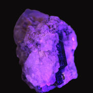 Elestial double-terminated Quartz with Aquamarine, Elbaite & Kunzite crystals on matrix 70mm 845ct 169g in UV light - Rocks and Things Store