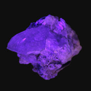 Elestial double-terminated Quartz with Aquamarine, Elbaite & Kunzite crystals on matrix 70mm 845ct 169g in UV light - Rocks and Things Store