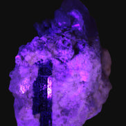 Elestial double-terminated Quartz with Aquamarine, Elbaite & Kunzite crystals on matrix 70mm 845ct 169g in UV light - Rocks and Things Store