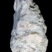 Green Tourmaline & Elbaite crystals on flat Muscovite Mica and Calcite matrix 202.9ct  40.5g in sunlight - Rocks and Things Store