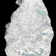 Green Tourmaline & Elbaite crystals on flat Muscovite Mica and Calcite matrix 202.9ct  40.5g in sunlight - Rocks and Things Store