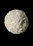 Chalcoyrite cluster from Pakistan 31-50.7g in sunshine - Rocks and Things Store