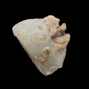 Terminated Aquamarine with Feldspar & Mica matrix 28mm 94.5ct 18.9g in sunlight - Rocks and Things Store