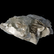 Terminated Clear Aquamarine crystal cluster with Mica 30mm 118.7ct 23.7g Rocks and Things