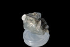 Terminated Clear Aquamarine crystal cluster with Mica 30mm 118.7ct 23.7g Rocks and Things