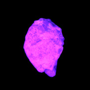 Multi-coloured Green Tourmaline crystal 43.4ct 8.7g in UV light