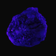 Clear Topaz crystals on matrix from Pakistan 98ct 19.5g in UV light - Rocks and Things Store