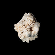 Clear Topaz crystals on matrix from Pakistan 98ct 19.5g in sunlight - Rocks and Things Store