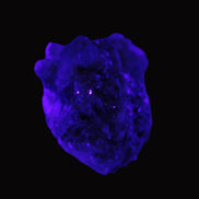 Clear Topaz crystals on matrix from Pakistan 98ct 19.5g in UV light - Rocks and Things Store