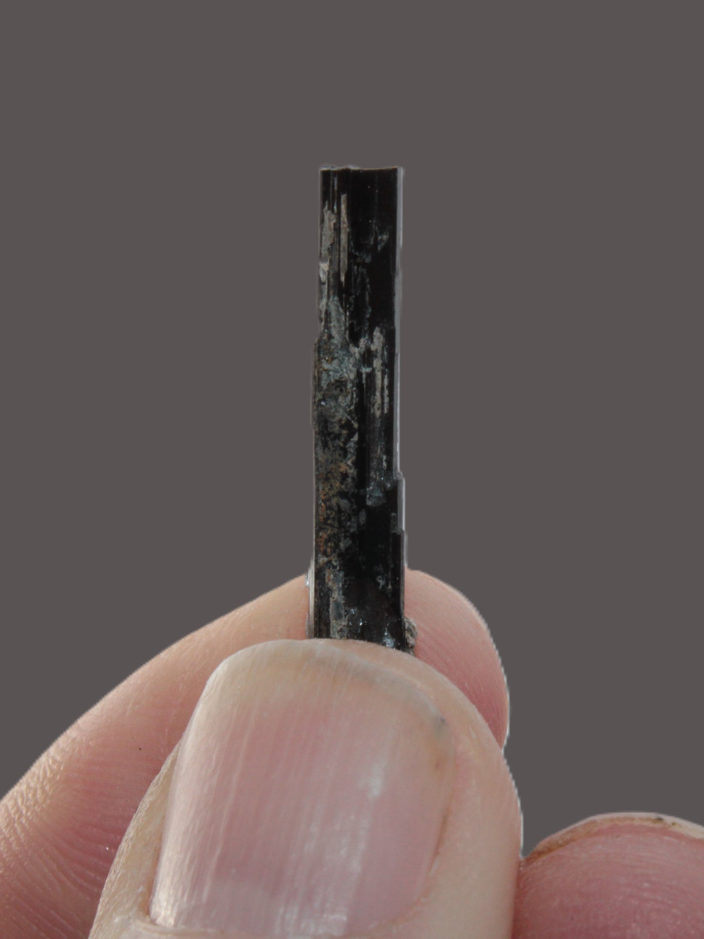 Small long Dark Elbaite crystal 25mm 6.2ct 1.2g Rocks and Things