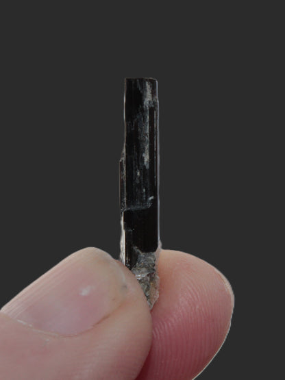 Small long Dark Elbaite crystal 25mm 6.2ct 1.2g Rocks and Things