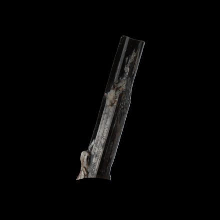 Small long Rainbow Black Tourmaline  crystal 25mm 6.2ct 1.2g in sunlight - Rocks and Things Store