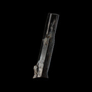 Small long Rainbow Black Tourmaline  crystal 25mm 6.2ct 1.2g in sunlight - Rocks and Things Store