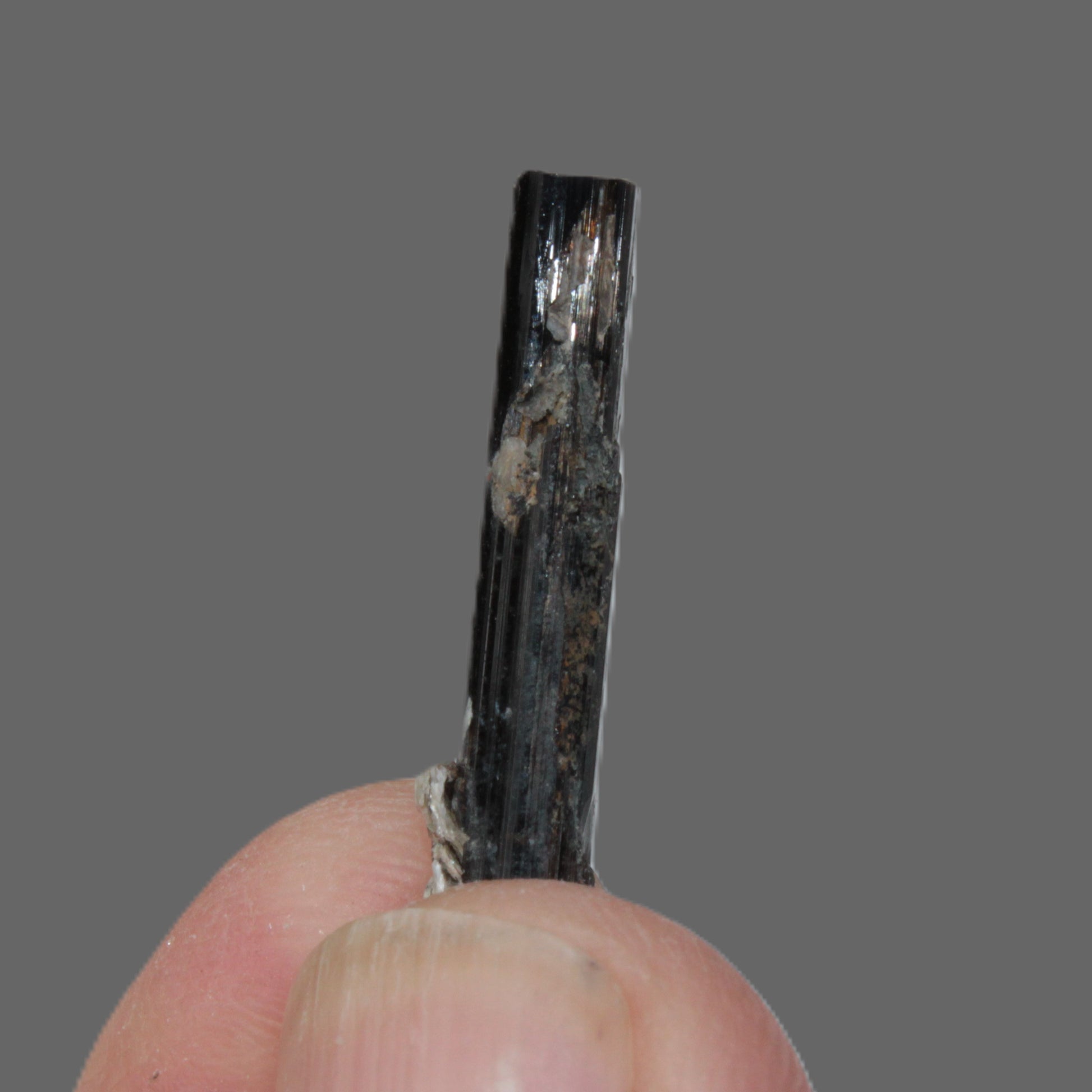 Small long Dark Elbaite crystal 25mm 6.2ct 1.2g Rocks and Things