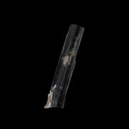 Small long Rainbow Black Tourmaline  crystal 25mm 6.2ct 1.2g in sunlight - Rocks and Things Store