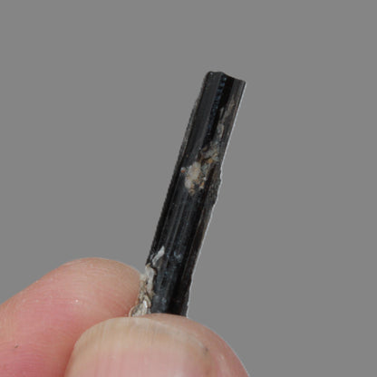 Small long Dark Elbaite crystal 25mm 6.2ct 1.2g Rocks and Things