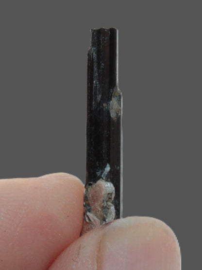 Small long Dark Elbaite crystal 25mm 6.2ct 1.2g Rocks and Things