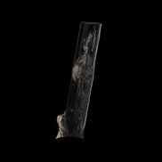 Small long Rainbow Black Tourmaline  crystal 25mm 6.2ct 1.2g in sunlight - Rocks and Things Store