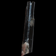Small long Rainbow Black Tourmaline  crystal 25mm 6.2ct 1.2g in sunlight - Rocks and Things Store