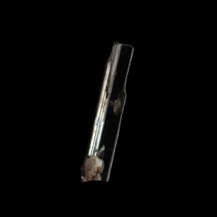 Small long Rainbow Black Tourmaline  crystal 25mm 6.2ct 1.2g in sunlight - Rocks and Things Store