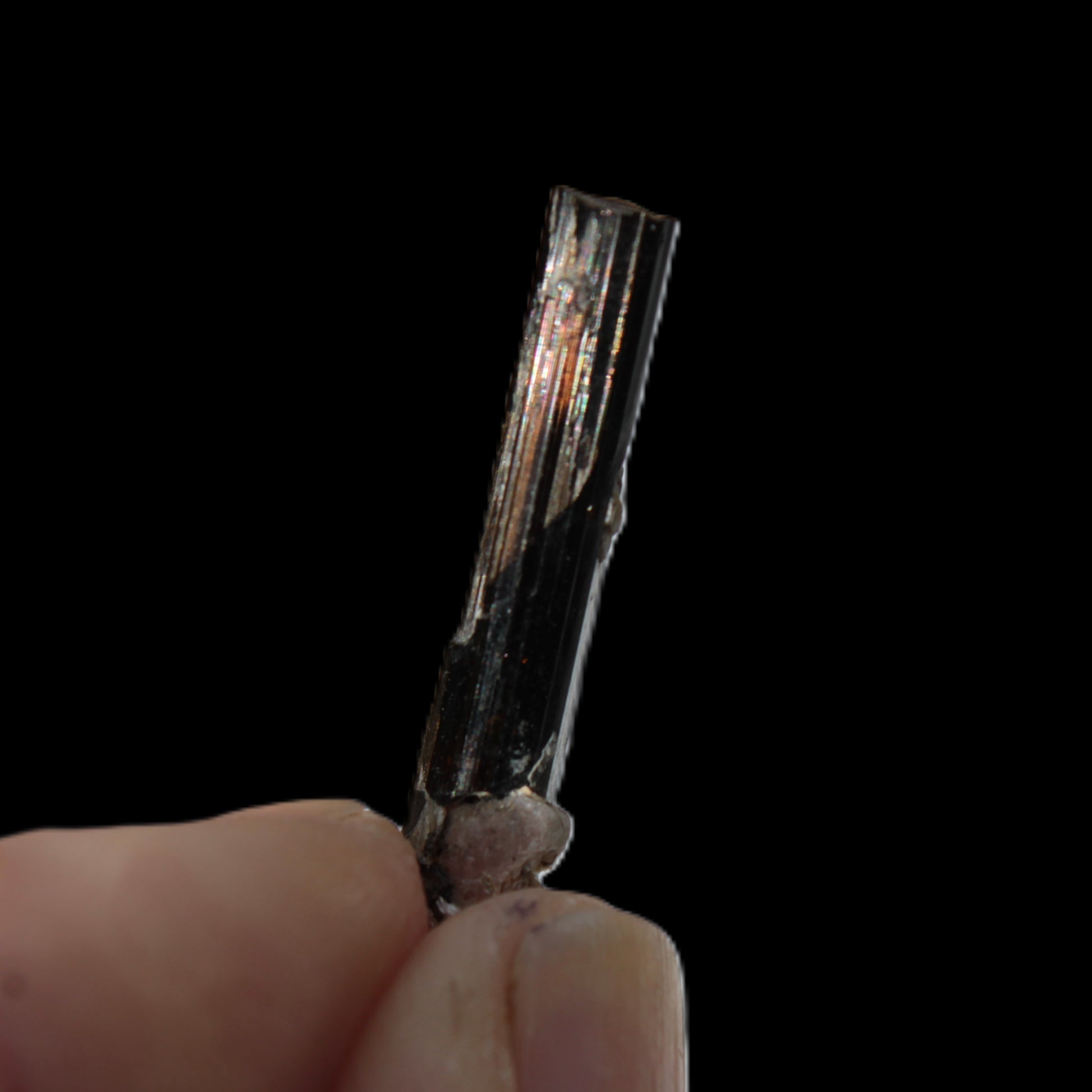 Small long Dark Elbaite crystal 25mm 6.2ct 1.2g Rocks and Things