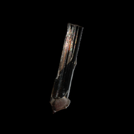 Small long Rainbow Black Tourmaline  crystal 25mm 6.2ct 1.2g in sunlight - Rocks and Things Store