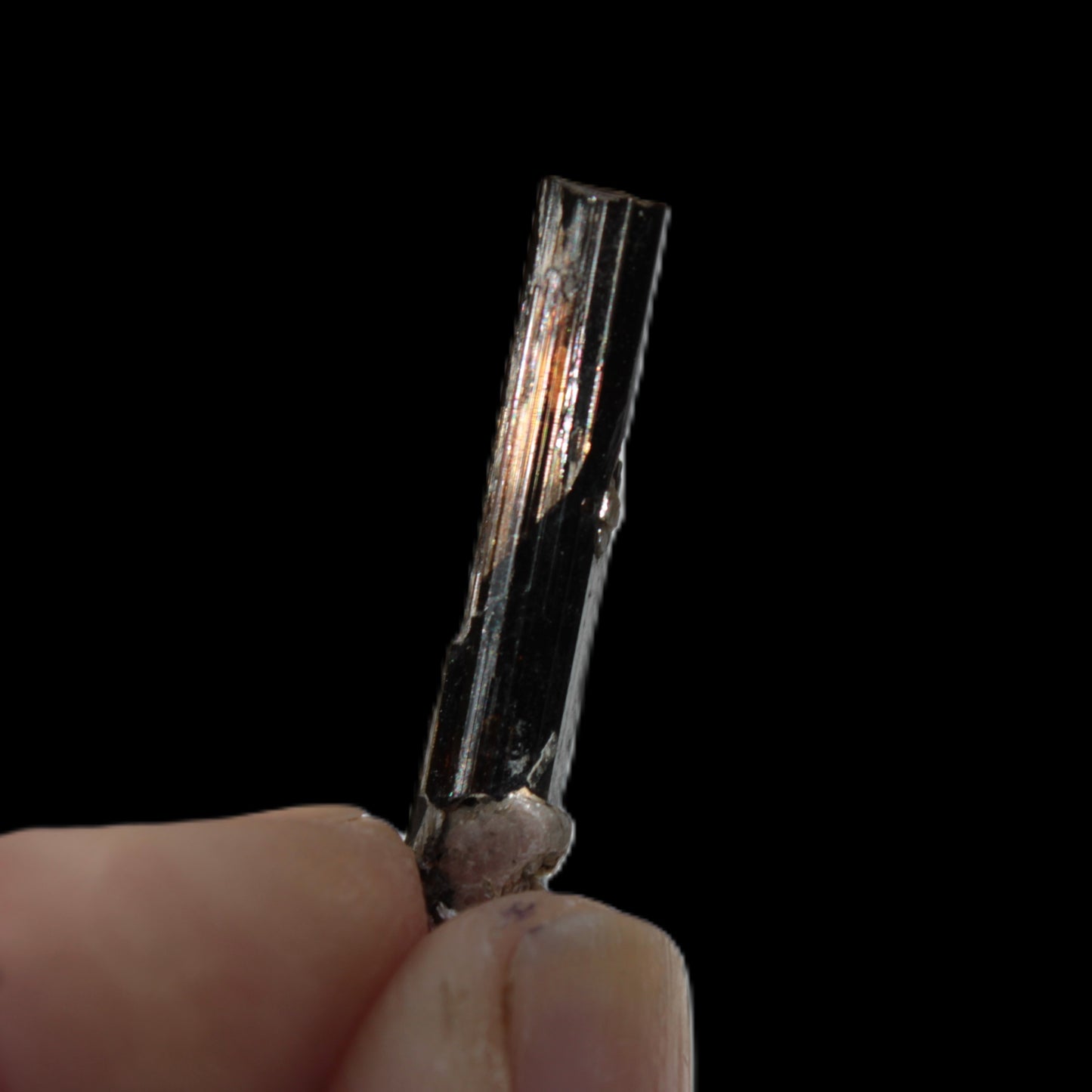 Small long Dark Elbaite crystal 25mm 6.2ct 1.2g Rocks and Things