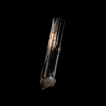 Small long Rainbow Black Tourmaline  crystal 25mm 6.2ct 1.2g in sunlight - Rocks and Things Store
