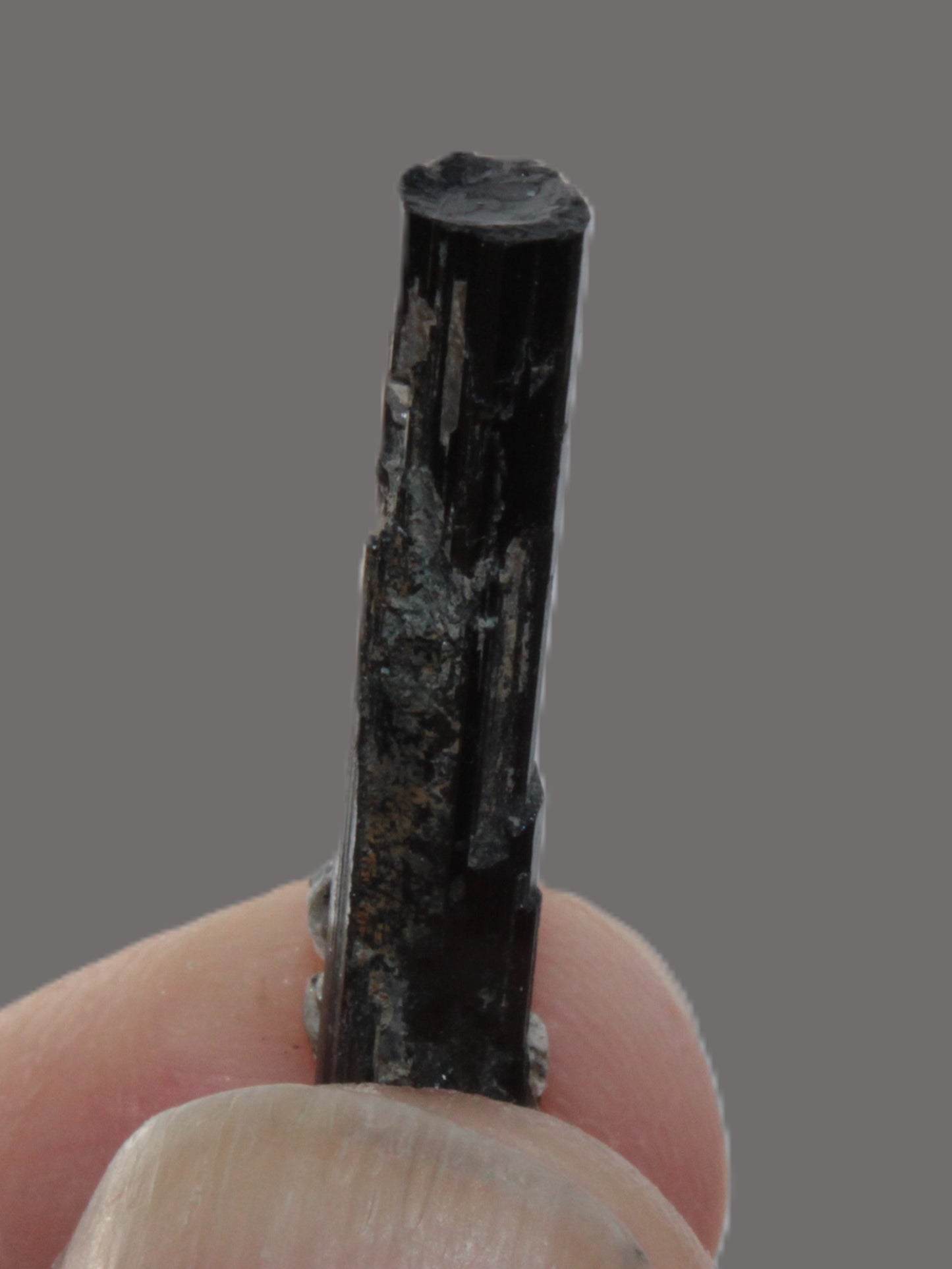 Small long Dark Elbaite crystal 25mm 6.2ct 1.2g Rocks and Things